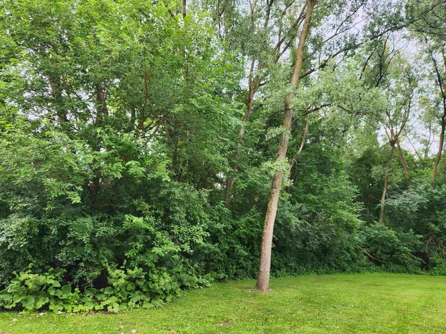 $335,000 | 7009 Fortune Drive, Middleton, WI 53562