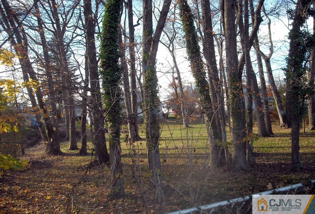 18 Gurley Road Edison, NJ 08817 - Photo 13 of 14 a view of park with trees