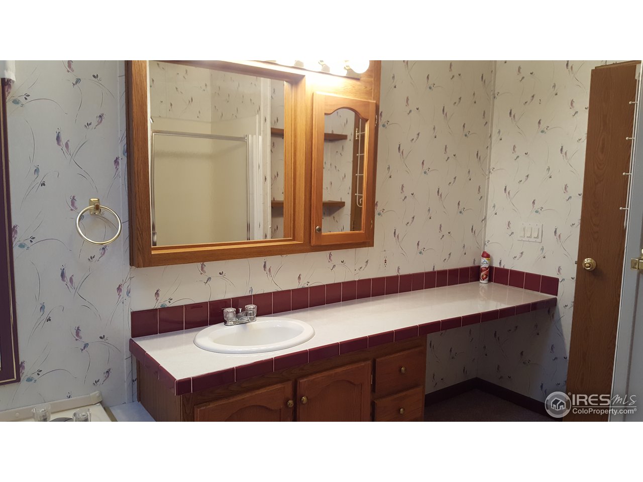 401 North Timberline Road, Unit 33 Fort Collins, CO 80524 - Photo 15 of 27 Large vanity area