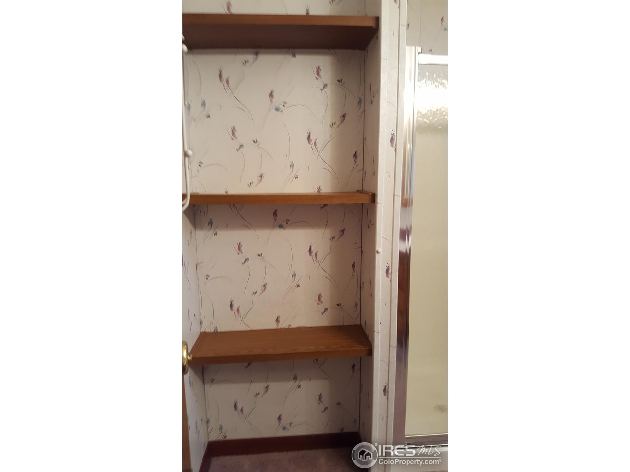 401 North Timberline Road, Unit 33 Fort Collins, CO 80524 - Photo 19 of 27 Bonus storage space in master bathroom