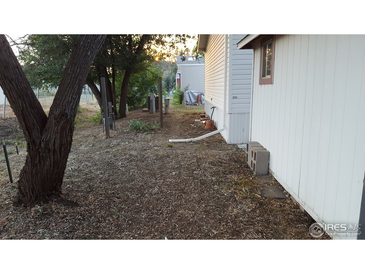 401 North Timberline Road, Unit 33 Fort Collins, CO 80524 - Photo 27 of 27 Backyard with shade trees to shade home