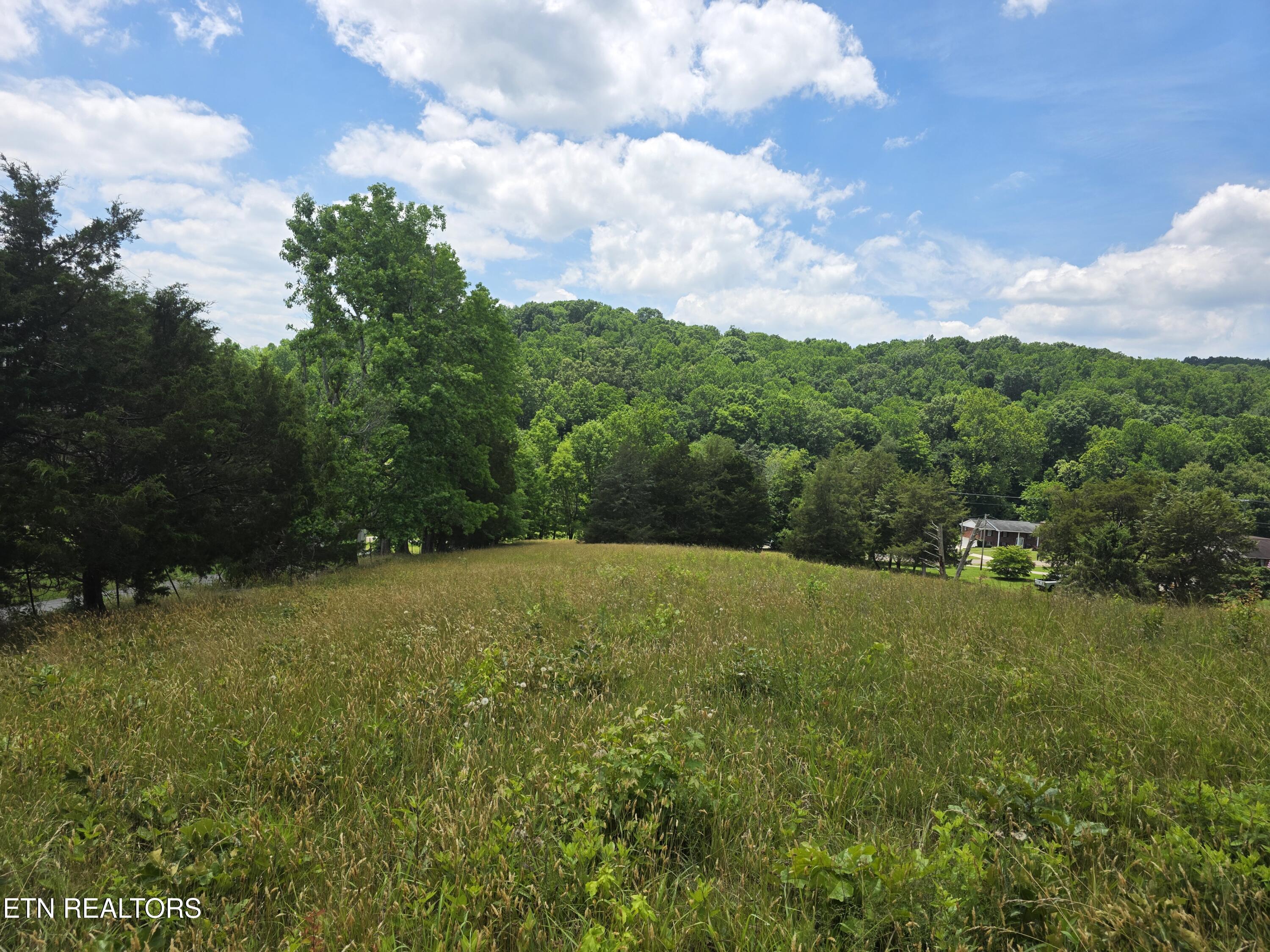 8050 Lett Road Corryton, TN 37721 - Photo 12 of 30 Pasture