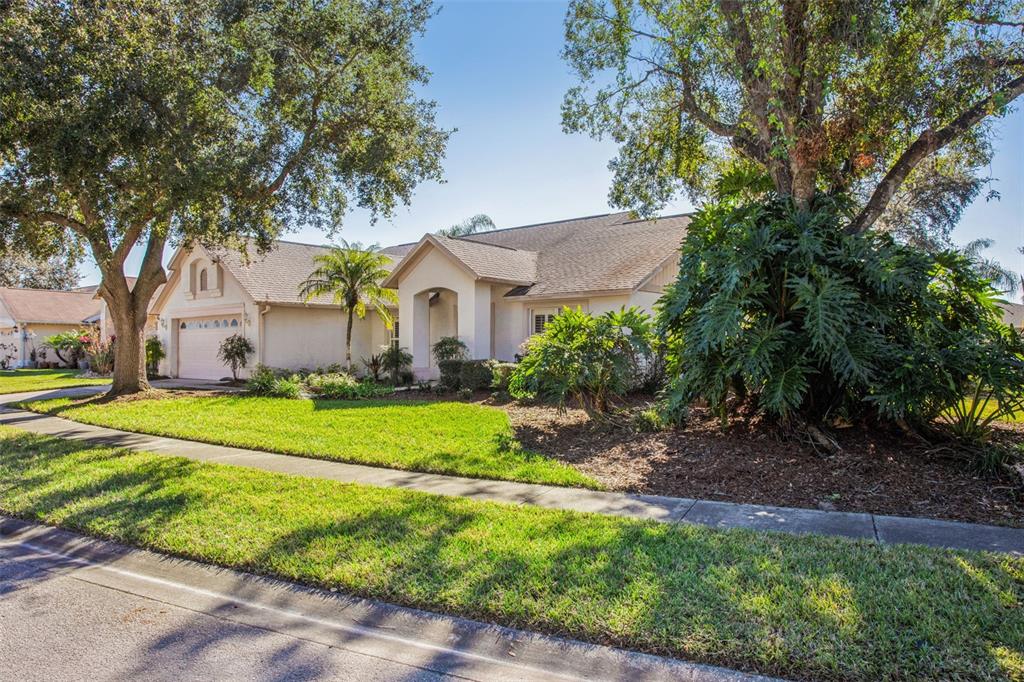 28424 Openfield Loop Wesley Chapel, FL 33543 - Photo 1 of 1 Gallery Image 1