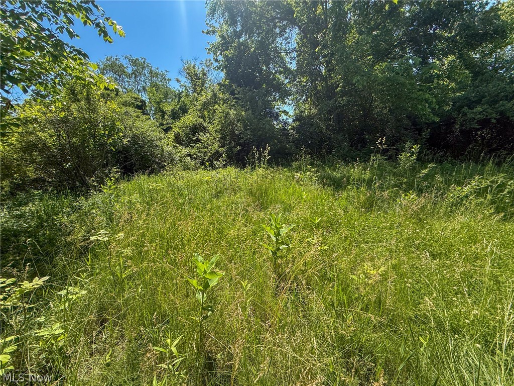 Lot 2 Altamont Road Mingo Junction, OH 43938 - Photo 17 of 26 Gallery Image 17