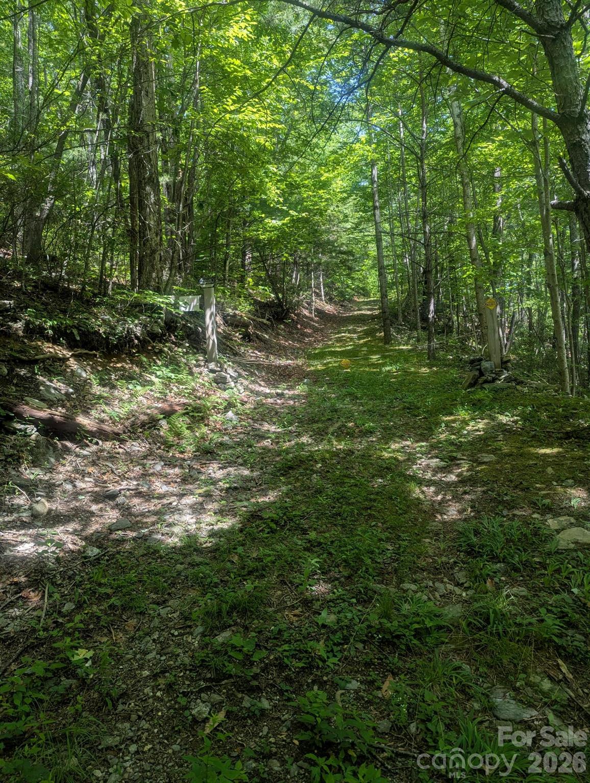 1662 Penley Road Boone, NC 28645 - Photo 2 of 23 a view of outdoor space and green space