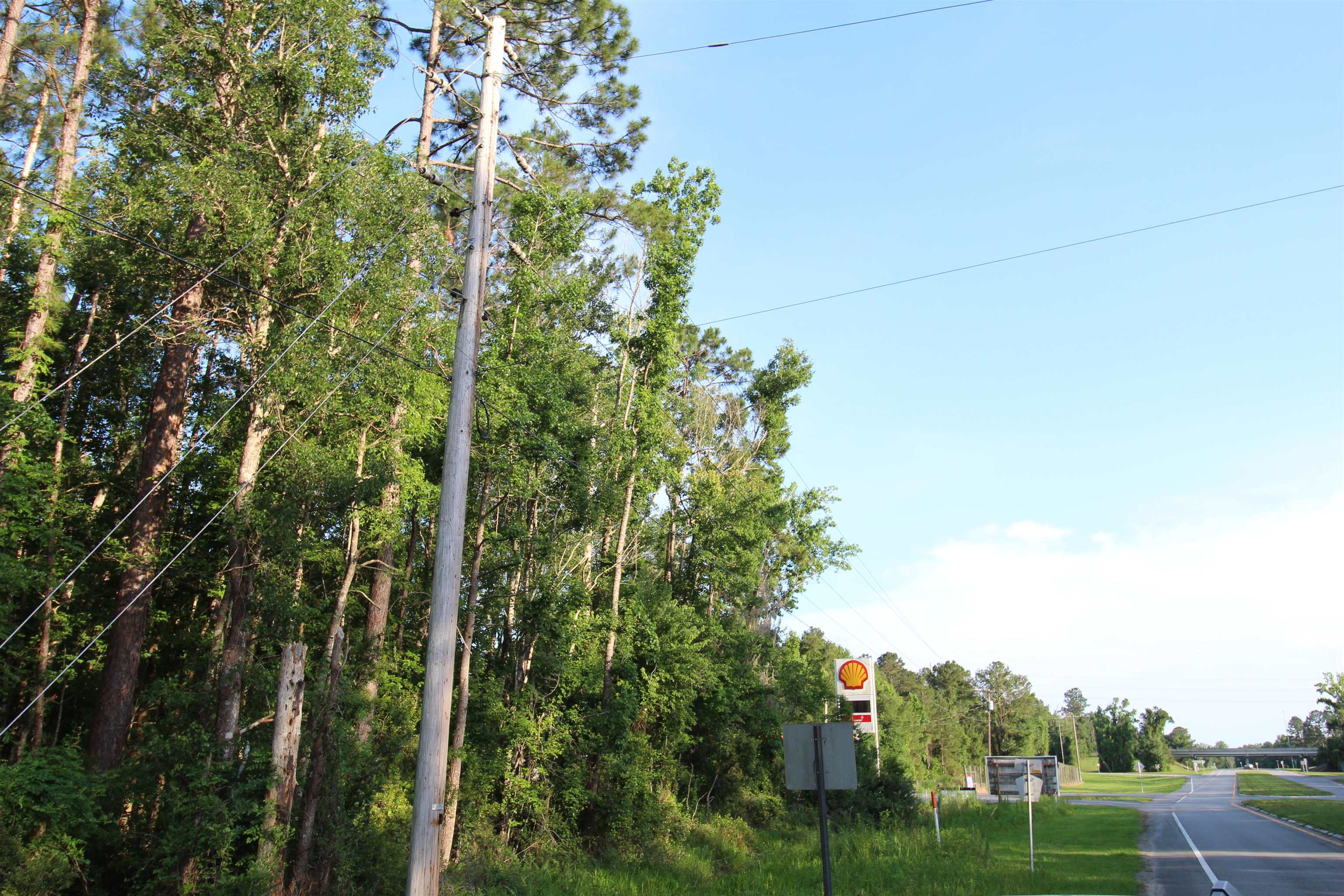 Tbd South Salt Road Monticello, FL 32344 - Photo 5 of 18