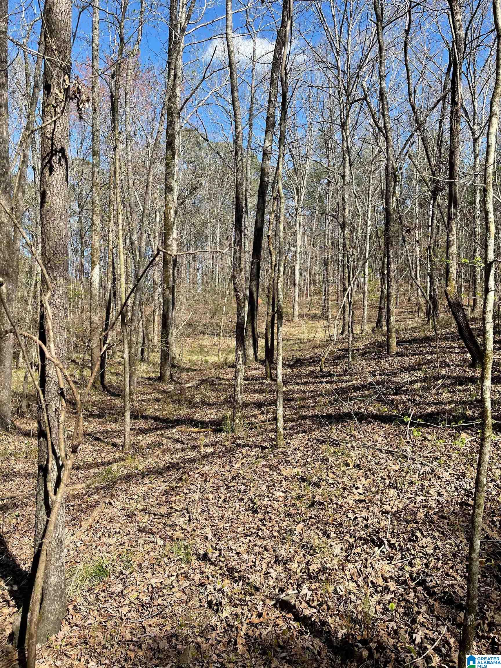 521 Sycamore Road Columbiana, AL 35051 - Photo 9 of 9