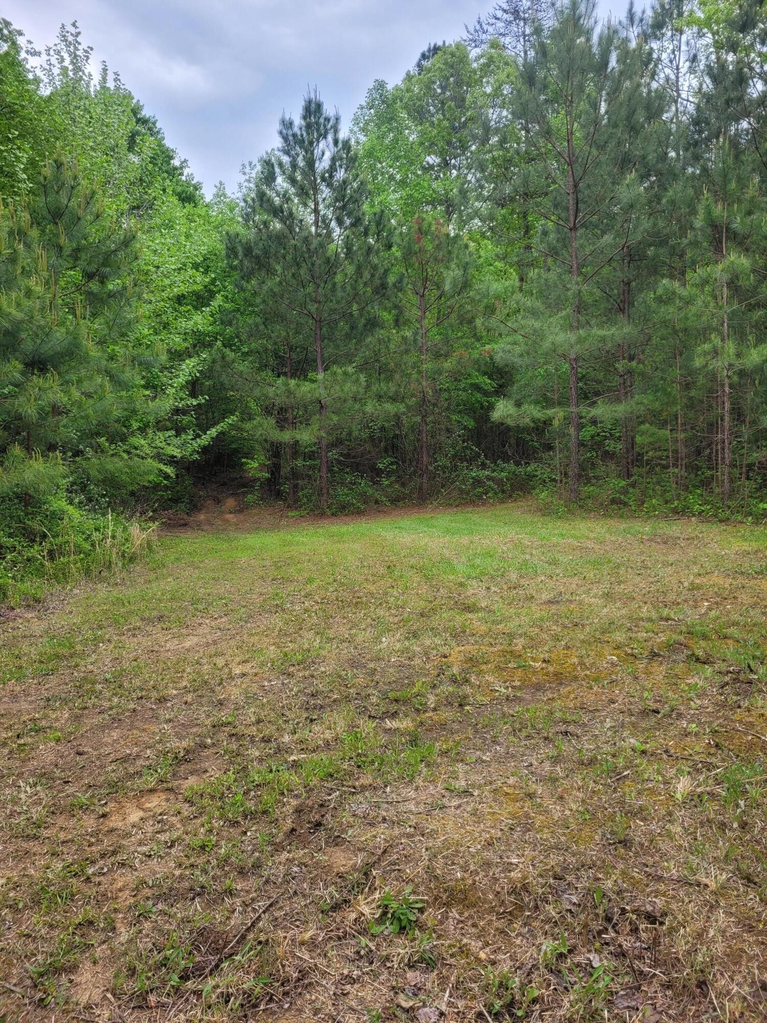 2768 White Oak Valley Road Northwest Cleveland, TN 37312 - Photo 13 of 19 Gallery Image 13