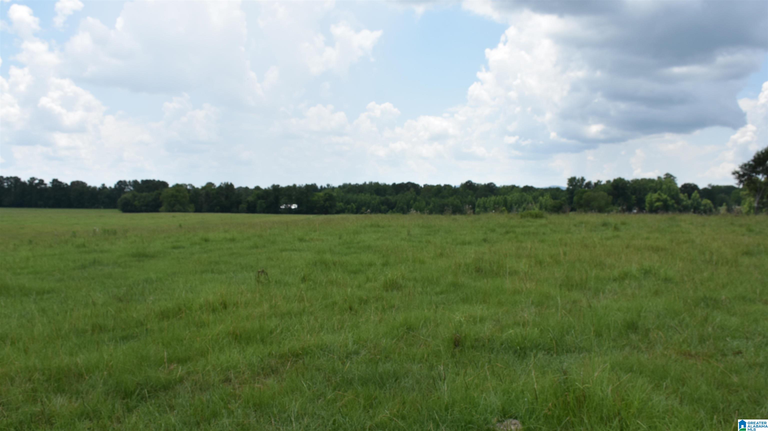 0 Risers Mill Road Alpine, AL 35014 - Photo 10 of 25