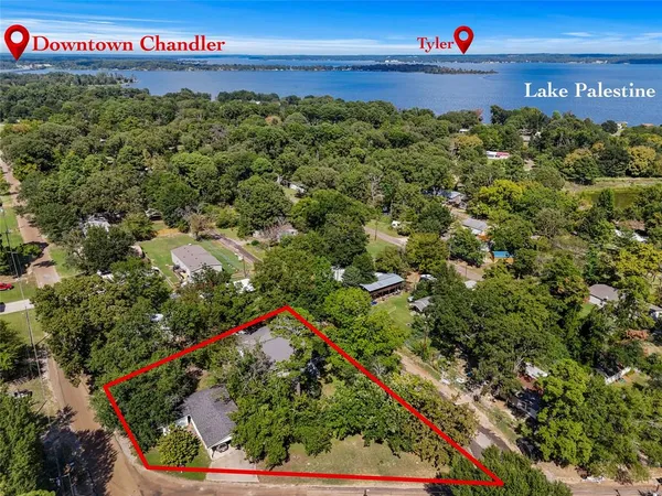 a view of a flower in a garden