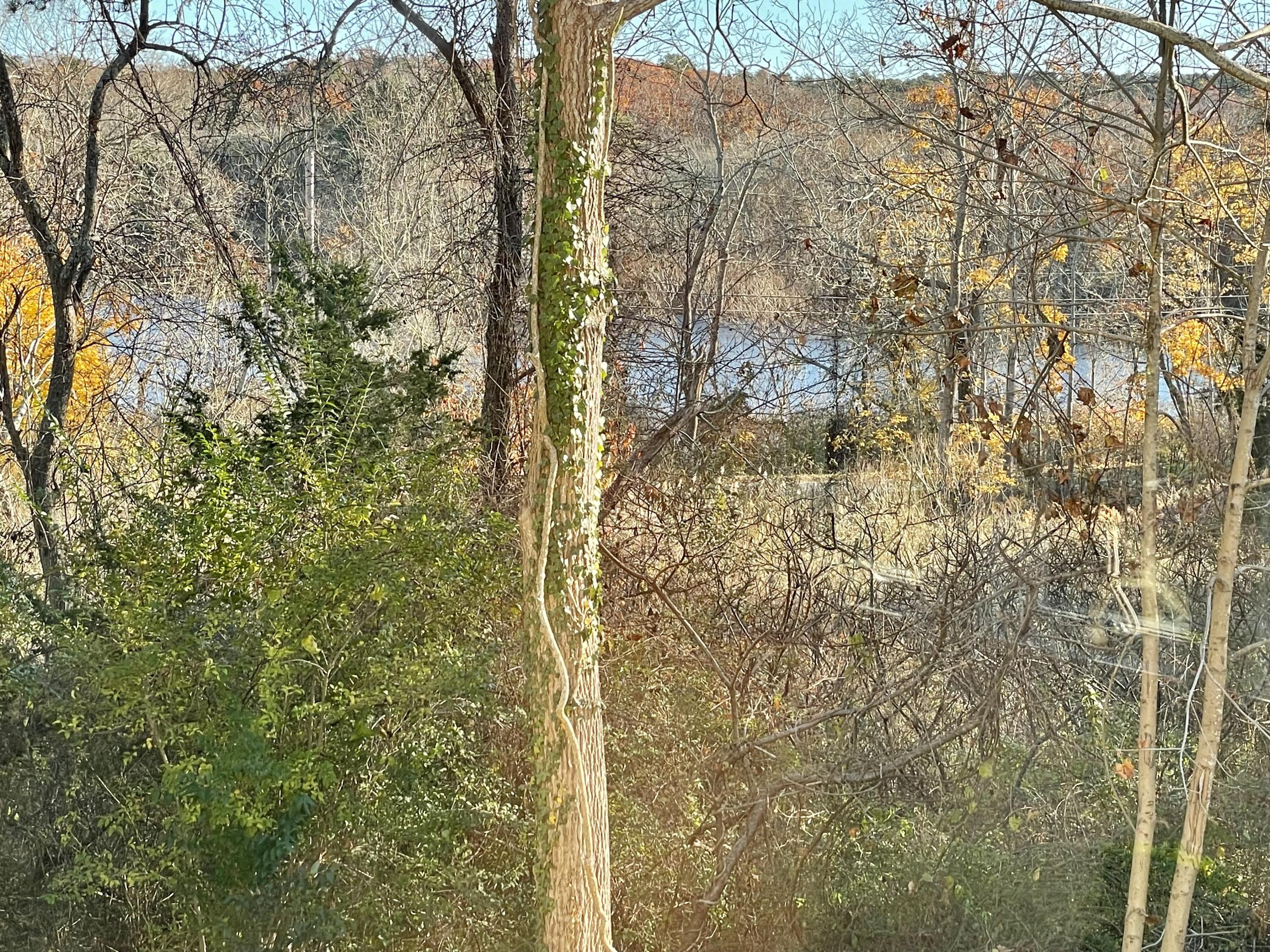 12 Jonathan Lane Sandwich, MA 02563 - Photo 5 of 57 Shawme Lake