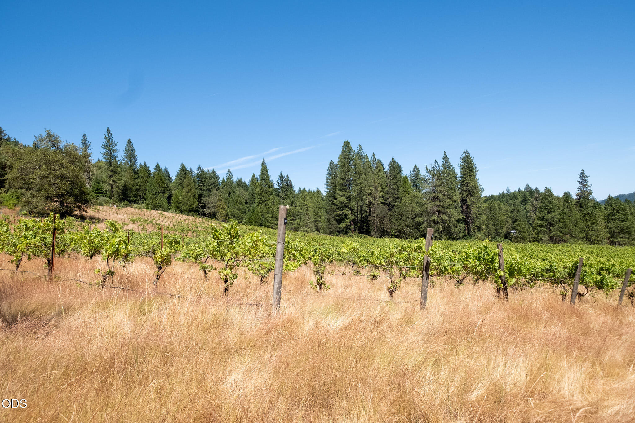 1329 Larson Road Roseburg, OR 97471 - Photo 19 of 65