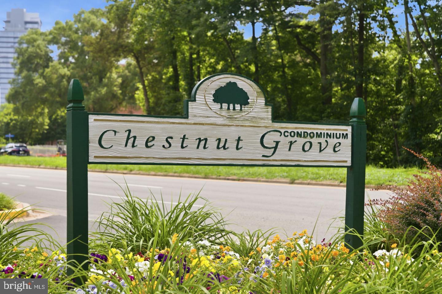 11260 Chestnut Grove Square, Unit 337 Reston, VA 20190 - Photo 65 of 82 Welcome to Chestnut Grove Condos