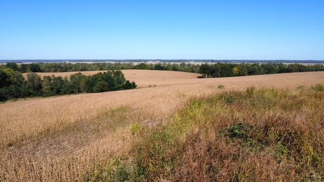 Ferry Road Boonville, MO 65233 - Photo 1 of 24 dji_fly_20231010_131320_491_169696175012