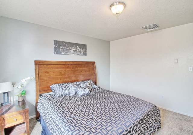 159 Park Street Fruita, CO 81521 - Photo 13 of 24 Gallery Image 13