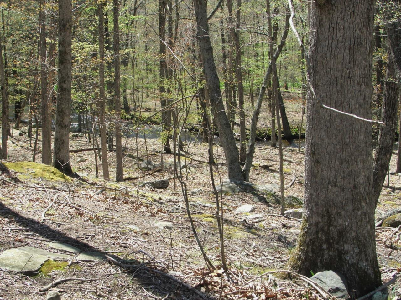 2774 Decker Road Bushkill, PA 18324 - Photo 3 of 4 Lot 2774 Sec 19 Creek Front Property