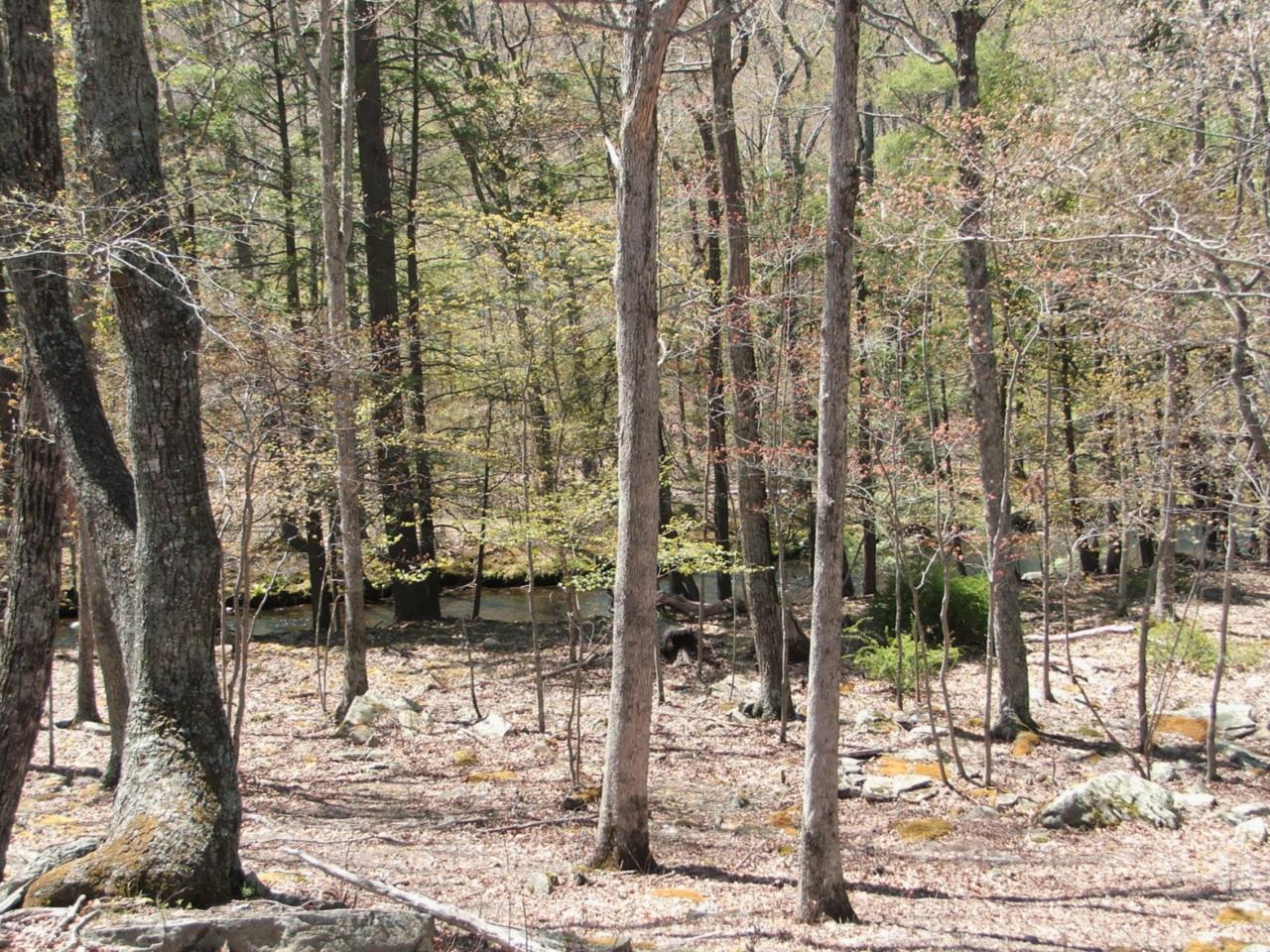2774 Decker Road Bushkill, PA 18324 - Photo 4 of 4 Lot 2774 Sec 19 Creek Front Property