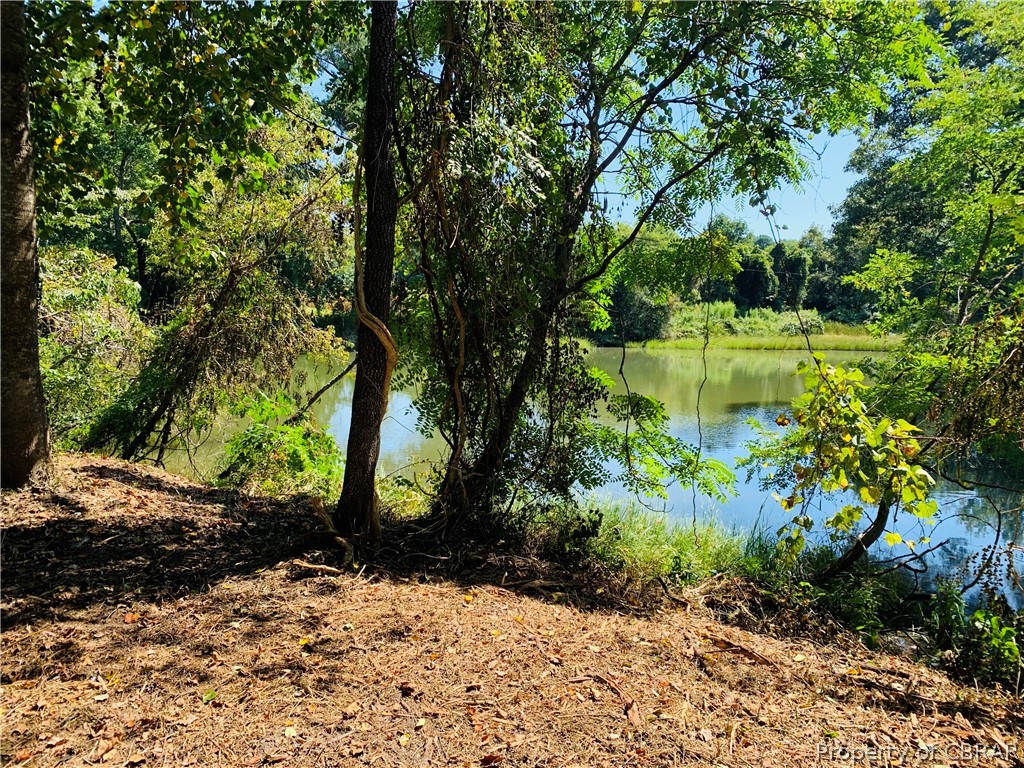 0 Prentice Point Drive Kilmarnock, VA 22482 - Photo 6 of 16 Creek Views