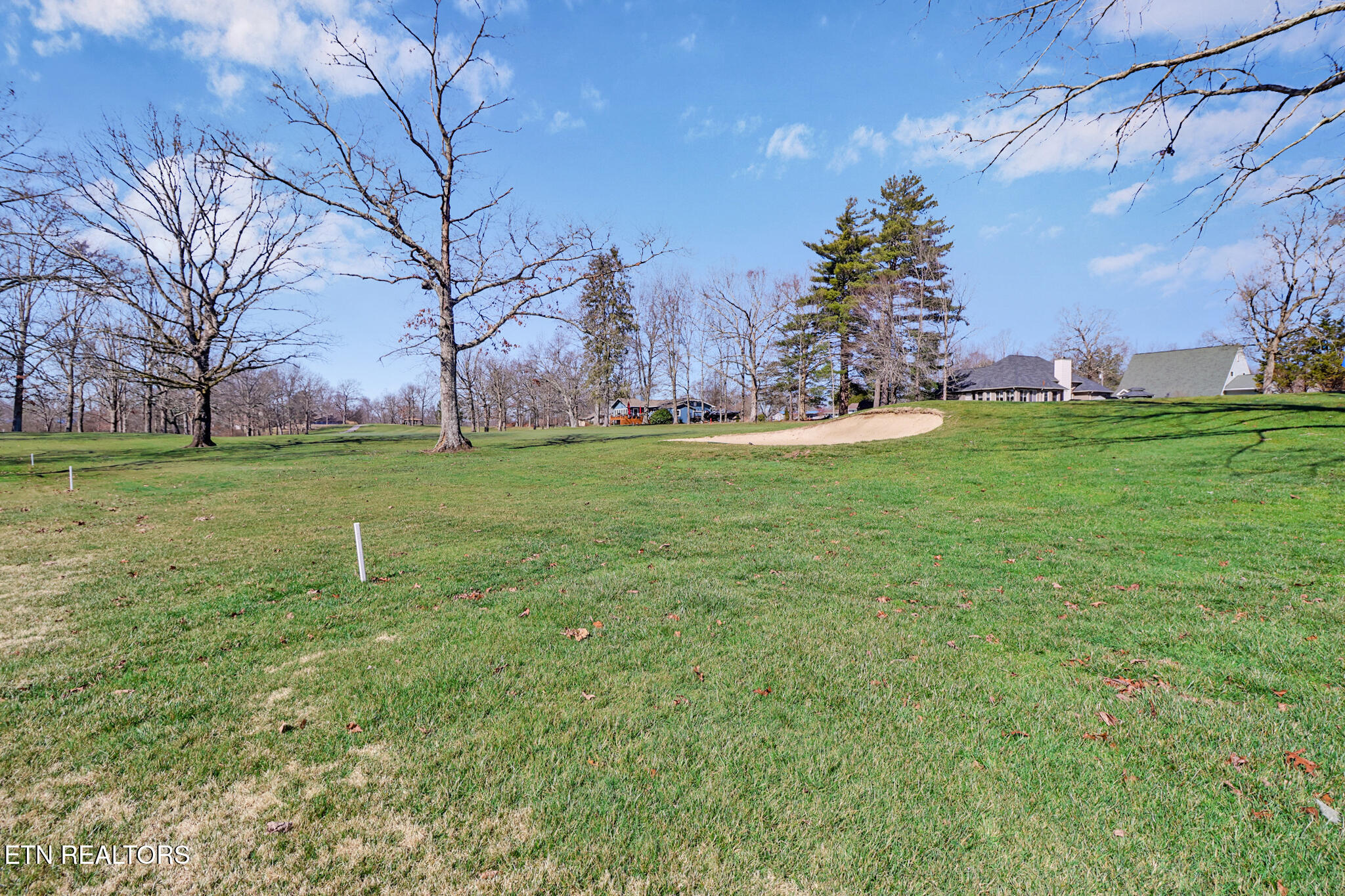 1024 Ridley Drive Crossville, TN 38572 - Photo 3 of 44 8th Green