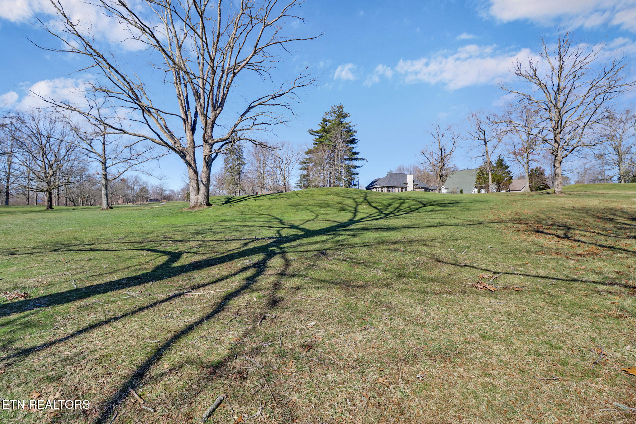 1024 Ridley Drive Crossville, TN 38572 - Photo 4 of 44 Golf Course View