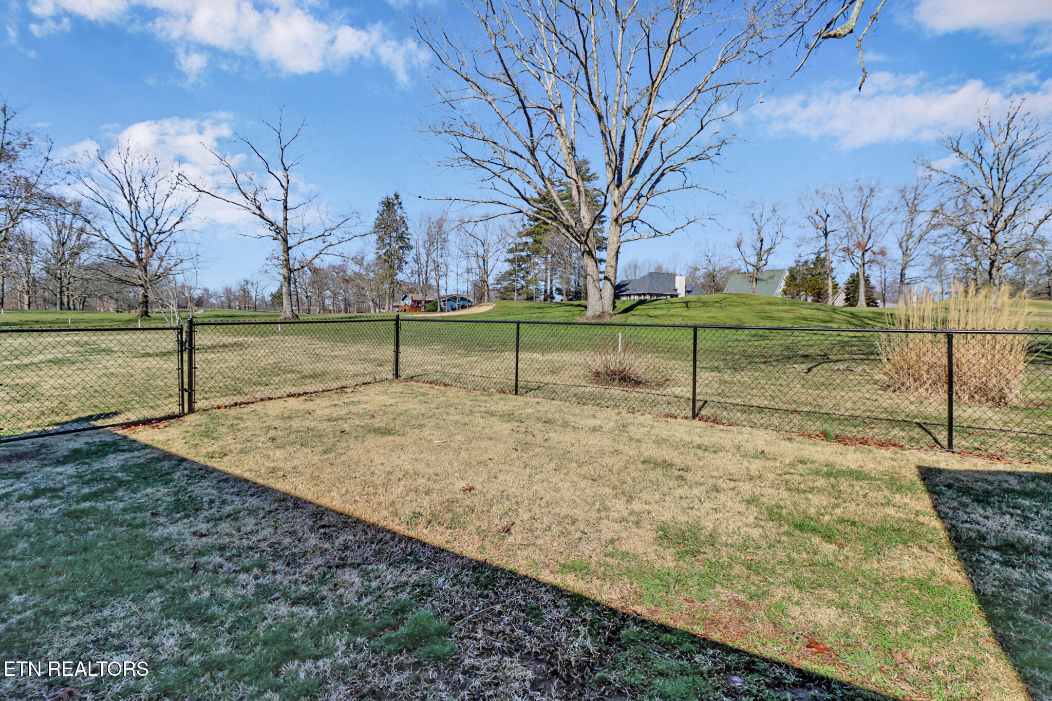 1024 Ridley Drive Crossville, TN 38572 - Photo 6 of 44 Fenced Yard