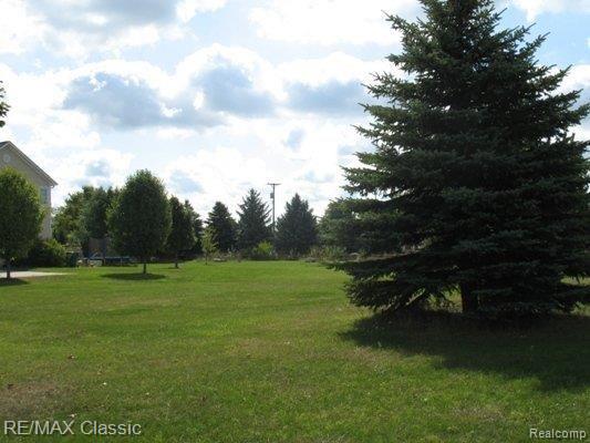 7580 Dell Road Saline, MI 48176 - Photo 16 of 17 BEAUTIFUL SETTING