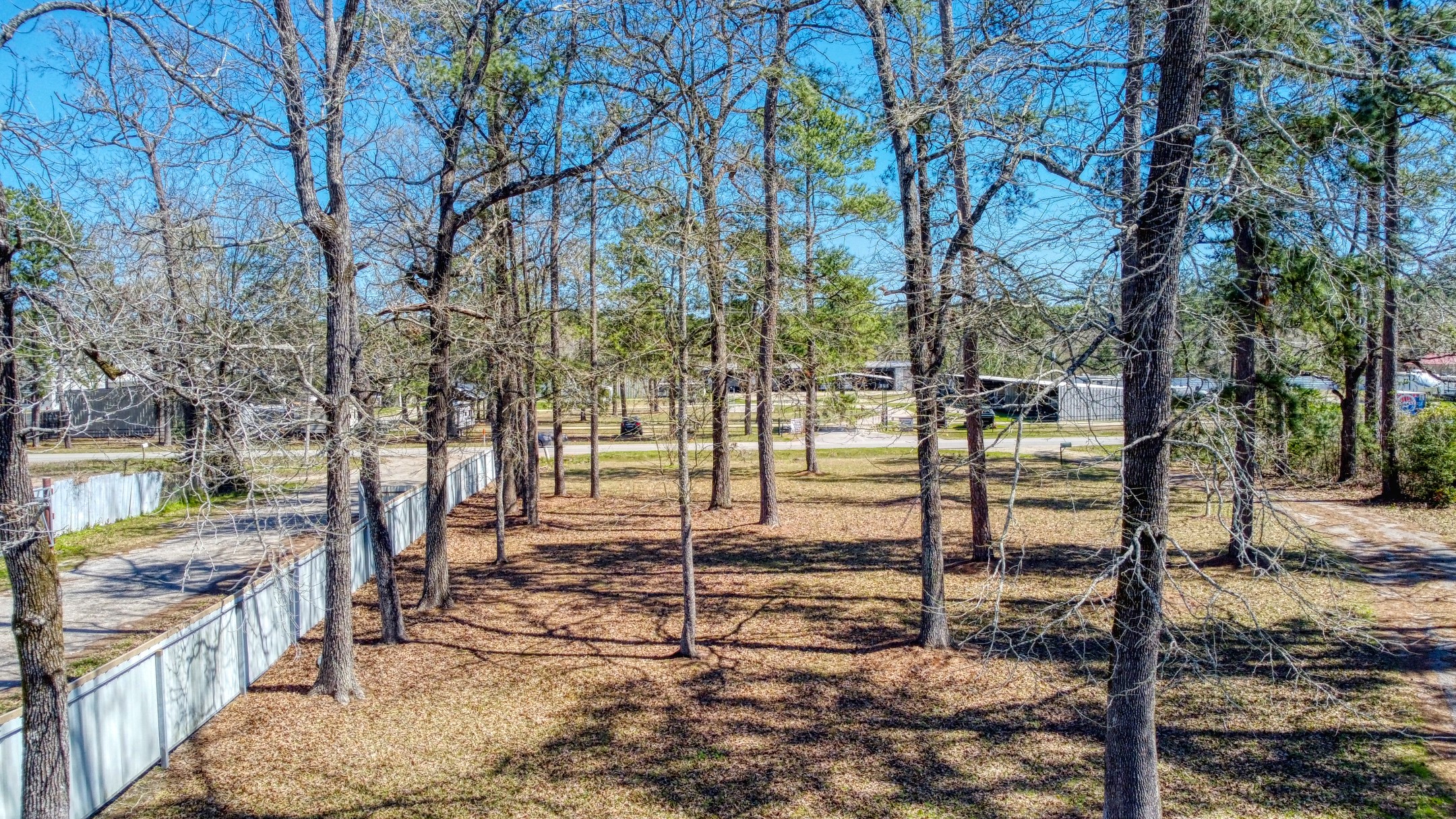 24830 Ford Road Porter, TX 77365 - Photo 2 of 14