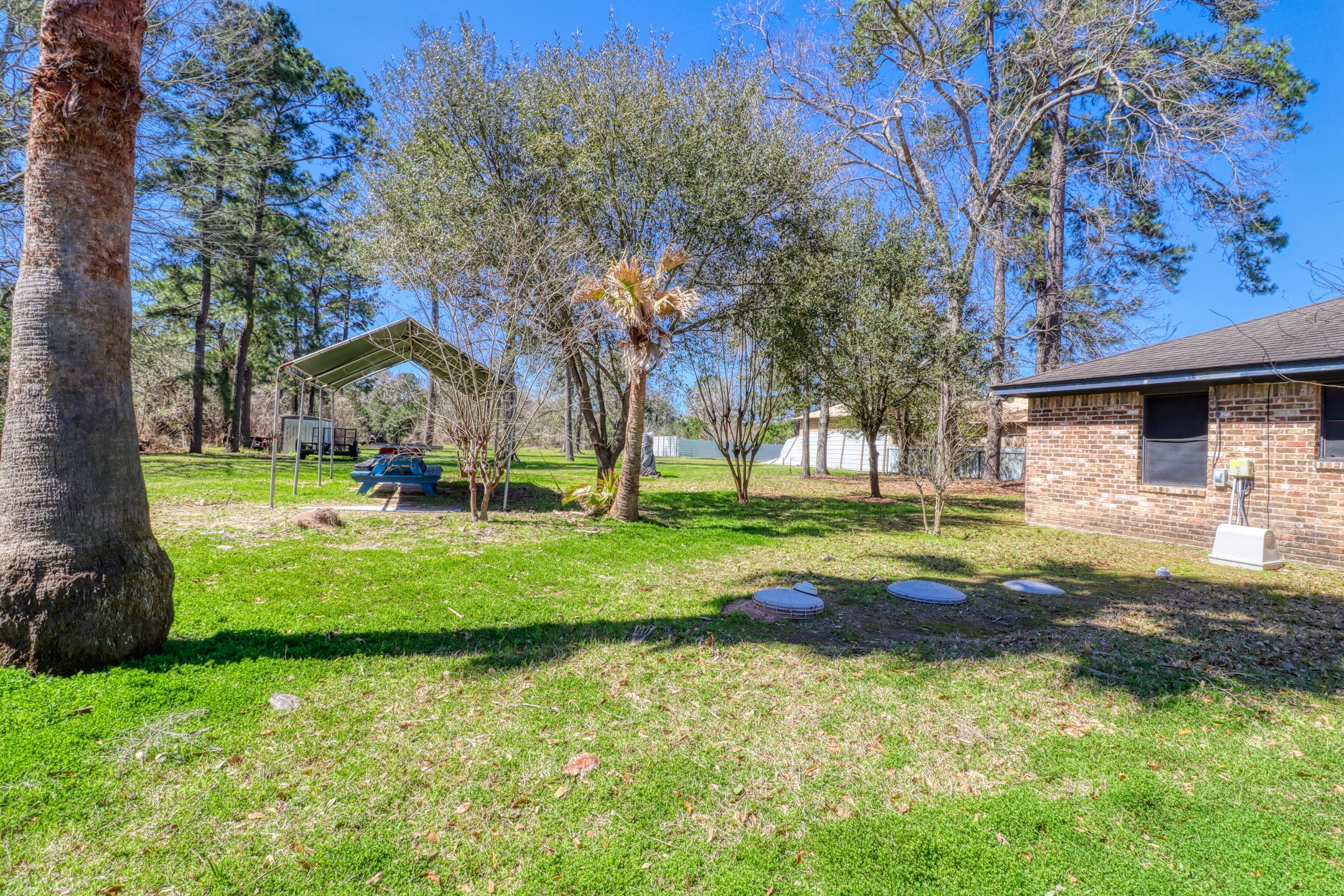 24830 Ford Road Porter, TX 77365 - Photo 6 of 14