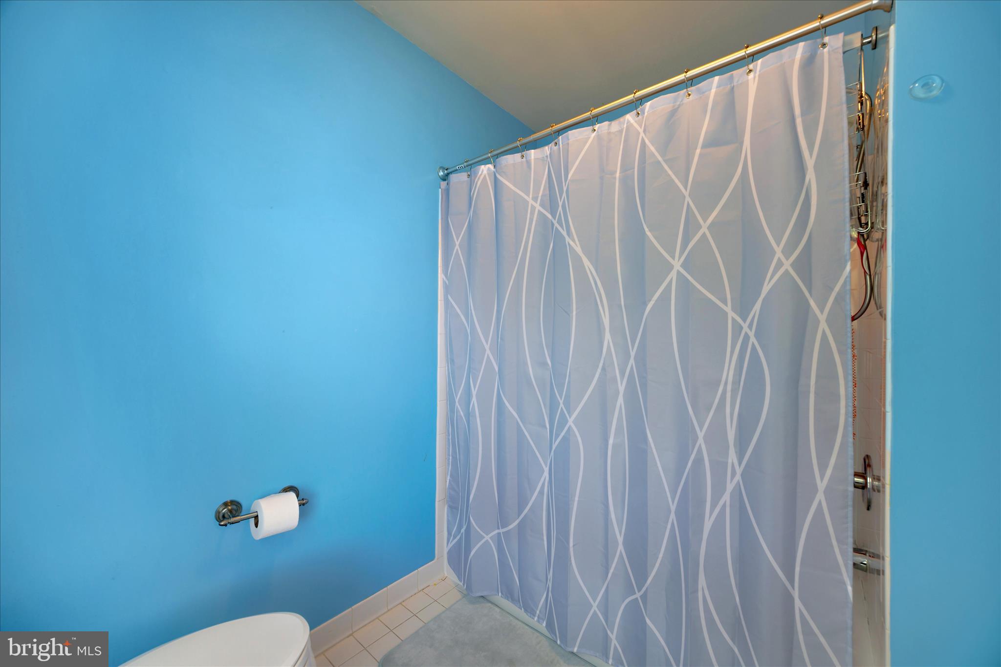 3303 Dunwood Ridge Terrace Bowie, MD 20721 - Photo 47 of 76 Hall bath