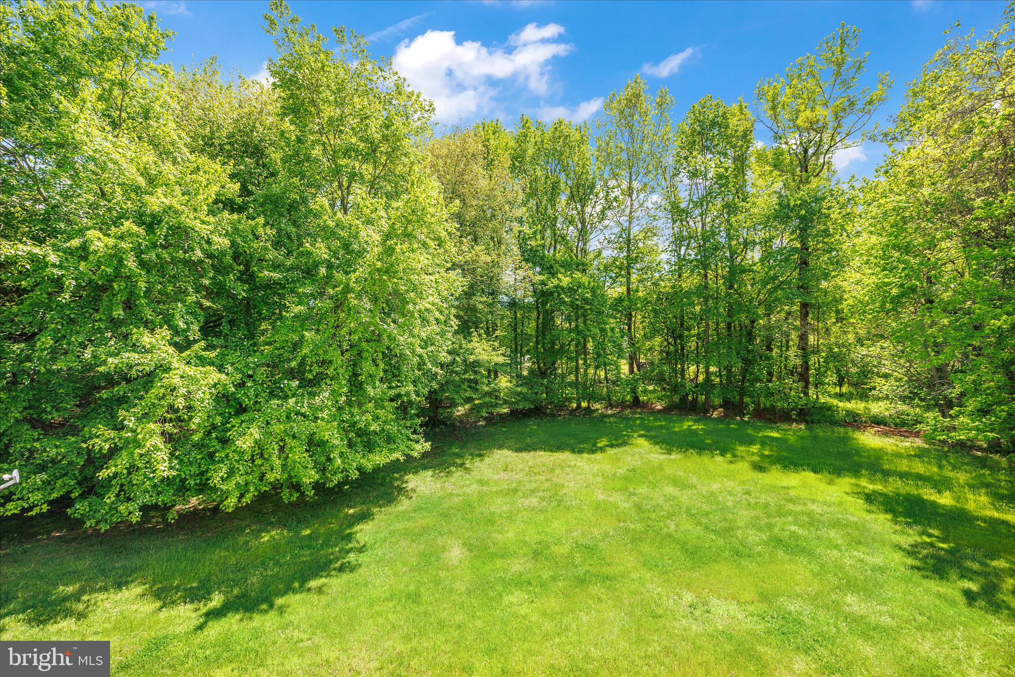 3303 Dunwood Ridge Terrace Bowie, MD 20721 - Photo 65 of 76 Trees for privacy
