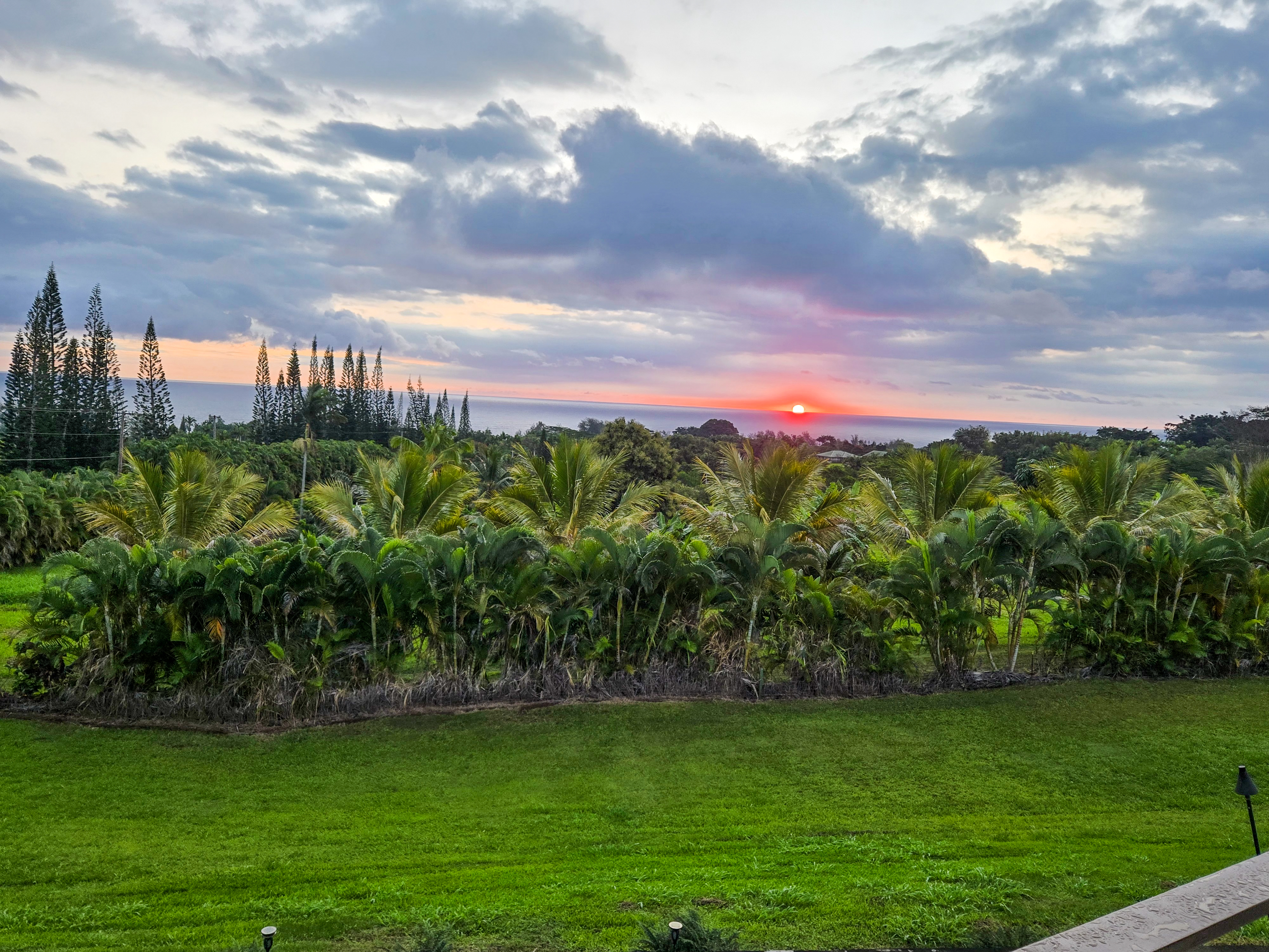 28-425 Overpass Road Pepeekeo, HI 96783 - Photo 27 of 30 a view of a big yard with a lot of plants and trees