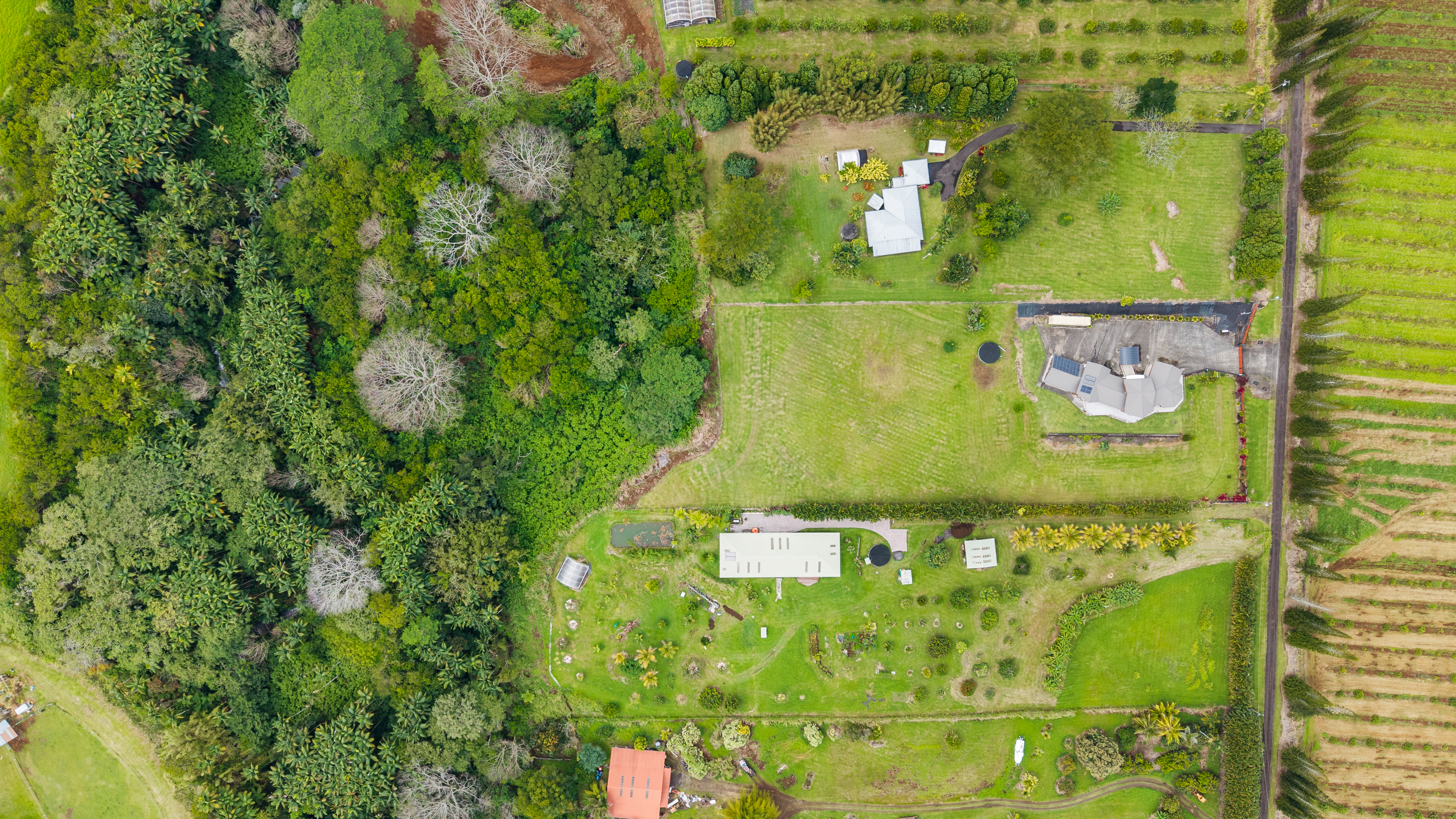 28-425 Overpass Road Pepeekeo, HI 96783 - Photo 29 of 30 a close up of a sign of a garden