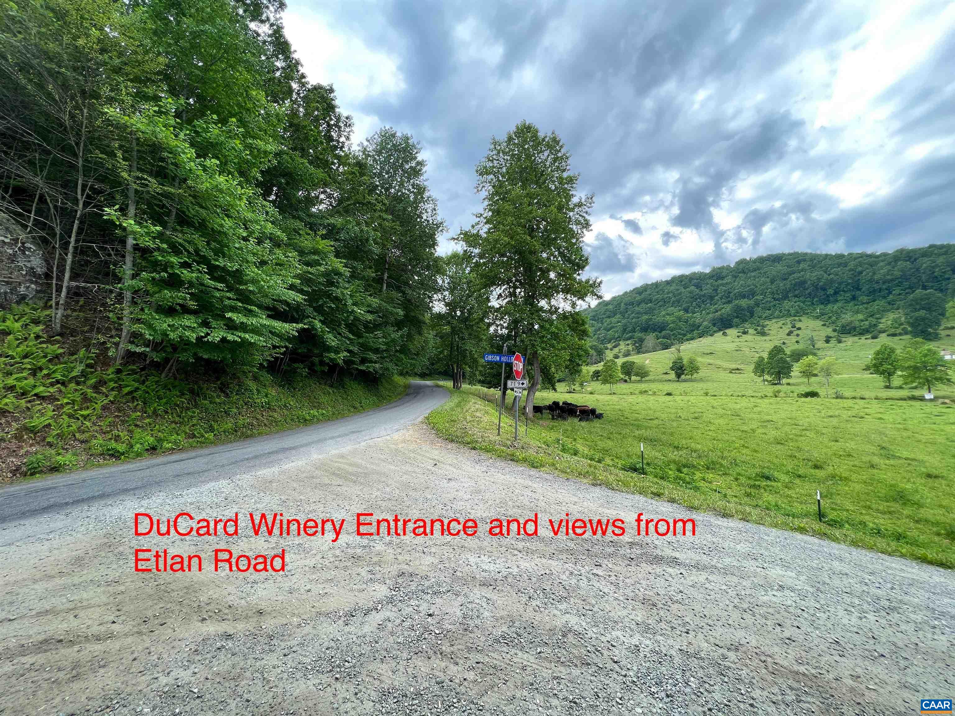 2 Etlan Road Etlan, VA 22719 - Photo 6 of 6 Gallery Image 6