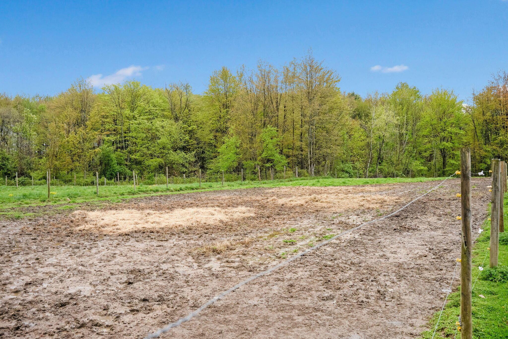 6810 Barrett Road Geneva, OH 44041 - Photo 60 of 78 70-web-or-mls-DSC09654