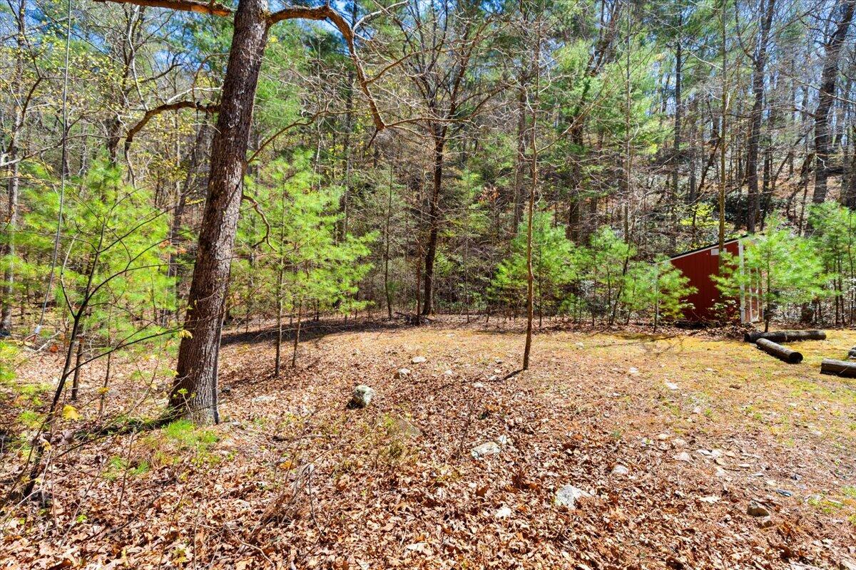 8099 Miller Cove Road Catawba, VA 24070 - Photo 33 of 55 8099 Miller Cove