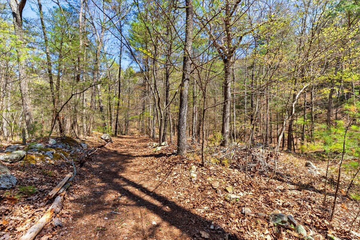 8099 Miller Cove Road Catawba, VA 24070 - Photo 48 of 55 8099 Miller Cove