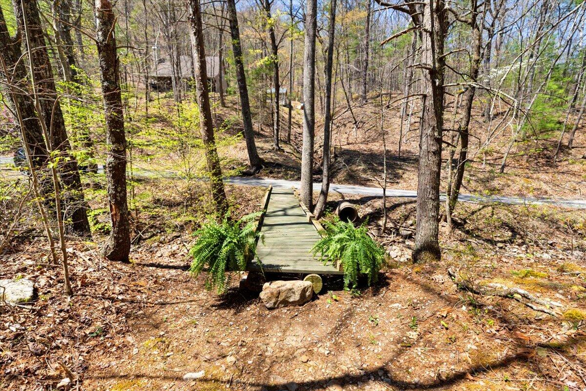 8099 Miller Cove Road Catawba, VA 24070 - Photo 49 of 55 8099 Miller Cove