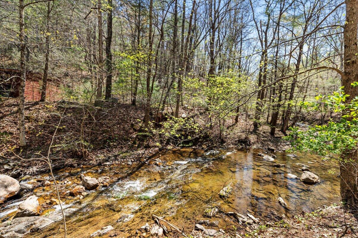 8099 Miller Cove Road Catawba, VA 24070 - Photo 53 of 55 8099 Miller Cove