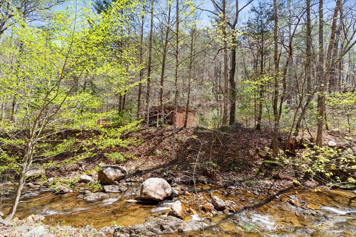 8099 Miller Cove Road Catawba, VA 24070 - Photo 54 of 55 8099 Miller Cove