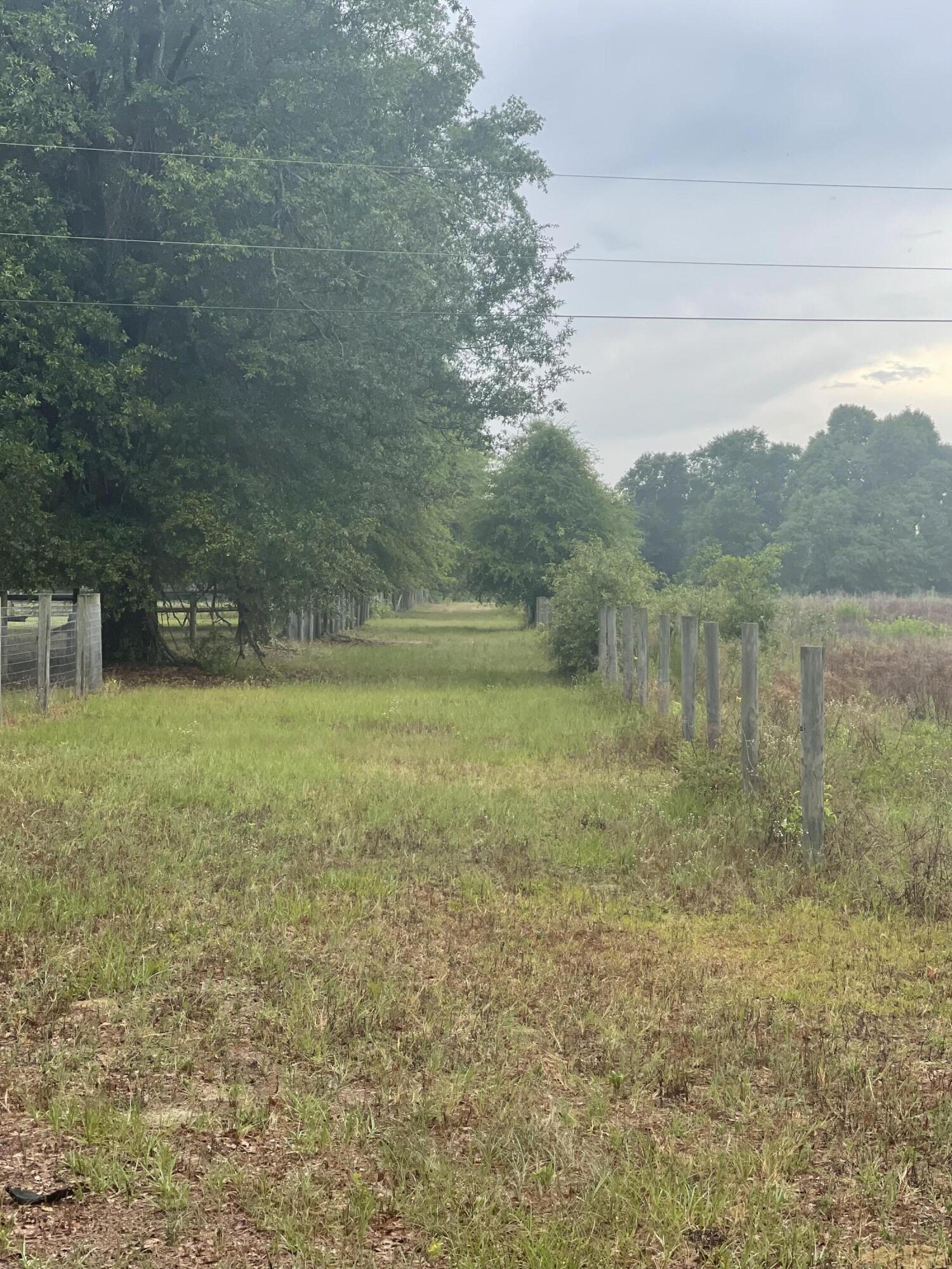 O Stonemint Drive Springfield, SC 29146 - Photo 5 of 8