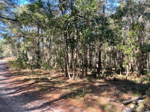 0 Undetermined Belleview, FL 34420 - Photo 3 of 7 IMG_6584