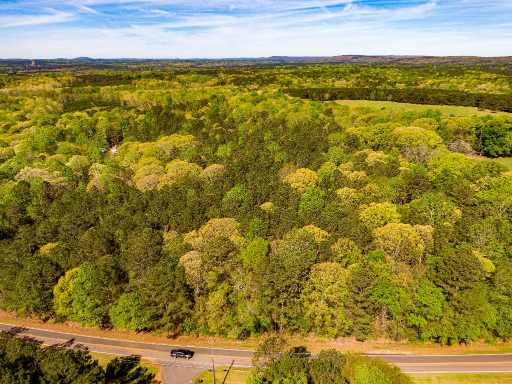 Lot 10 Chestnut Grove Road Shiloh, GA 31826 - Photo 4 of 17 Gallery Image 4