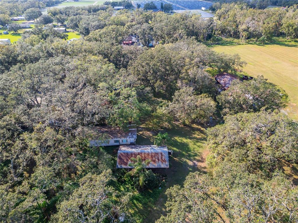 5030 Sydney Road Plant City, FL 33566 - Photo 9 of 23 a view of a garden with a lake