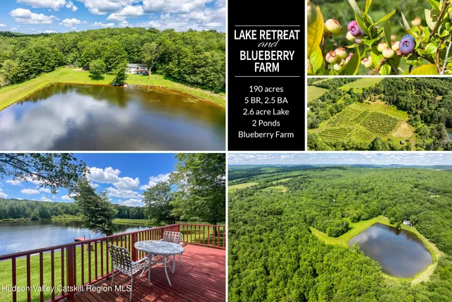 $845,000 | 361 Warren Road, Meredith, NY 13846