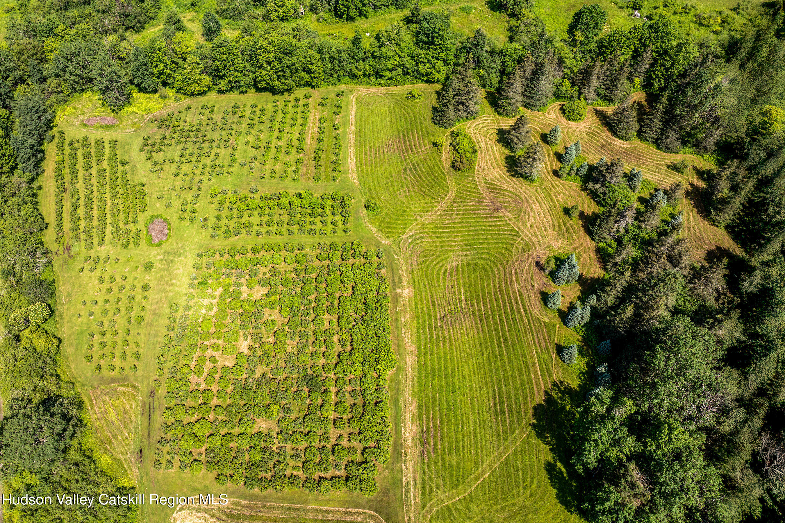 361 Warren Road Meredith, NY 13846 - Photo 37 of 54 DJI_20250704104016_0125_D-Edit