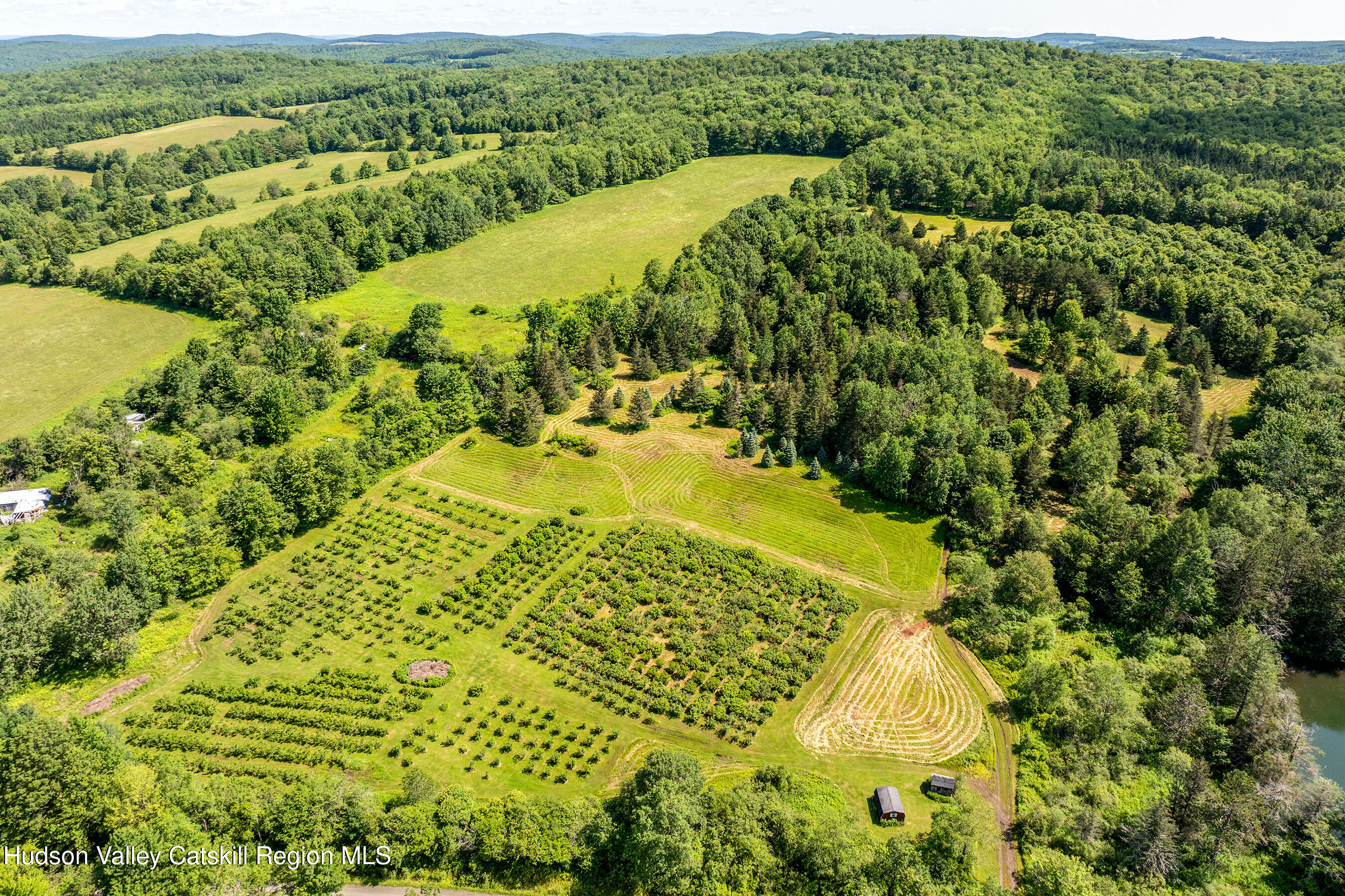 361 Warren Road Meredith, NY 13846 - Photo 40 of 54 DJI_20250704104144_0128_D-Edit