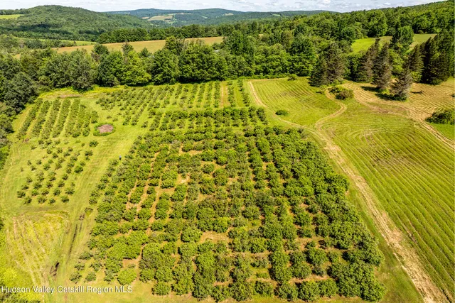 $845,000 | 361 Warren Road, Meredith, NY 13846