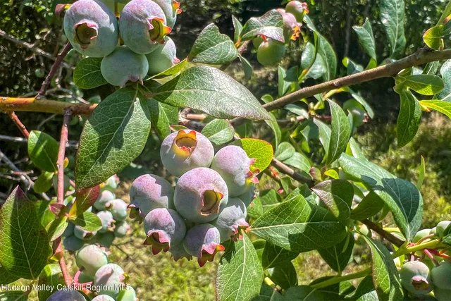 $845,000 | 361 Warren Road, Meredith, NY 13846