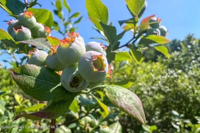 $845,000 | 361 Warren Road, Meredith, NY 13846