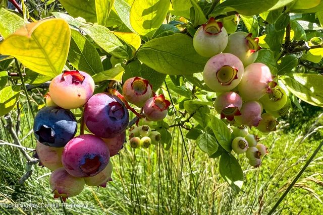 $845,000 | 361 Warren Road, Meredith, NY 13846